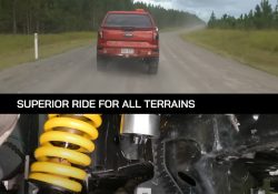 suspension